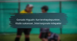 Gonzalo Higuaín: Karrierehøydepunkter, Klubb suksesser, Internasjonale milepæler