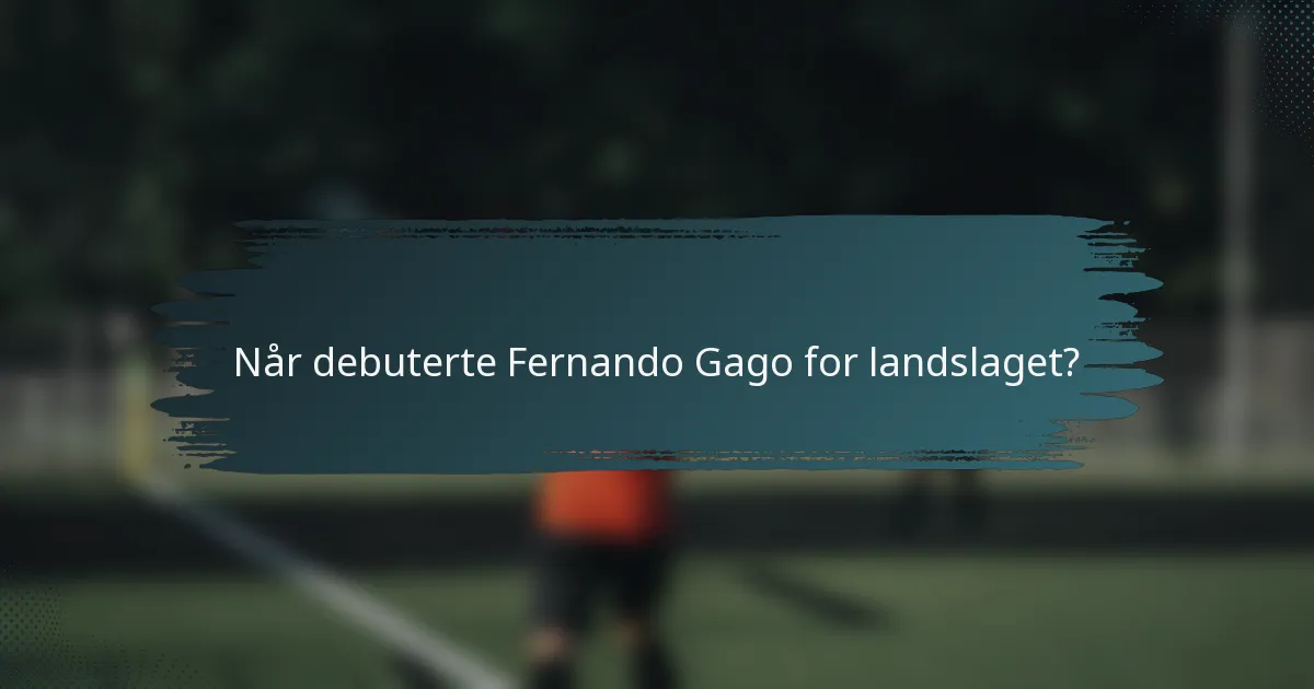 Når debuterte Fernando Gago for landslaget?